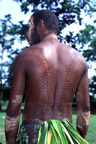 Young Sepik River man with fresh initiation scars