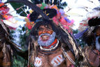 Happy Huli Warrior (from Harry and the Hendersons?)