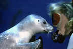 Coleen and friend at Cathedral Cove, Anacapa Island.