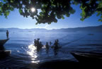 Lembeh Straits scene.